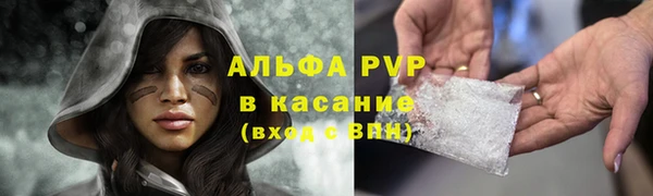 ПСИЛОЦИБИНОВЫЕ ГРИБЫ Абинск