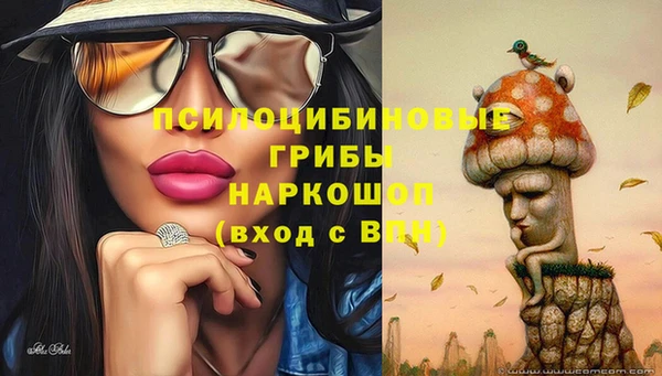ПСИЛОЦИБИНОВЫЕ ГРИБЫ Абинск